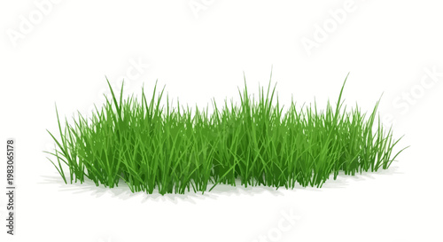 Realistic green grass patch isolated on a white background.