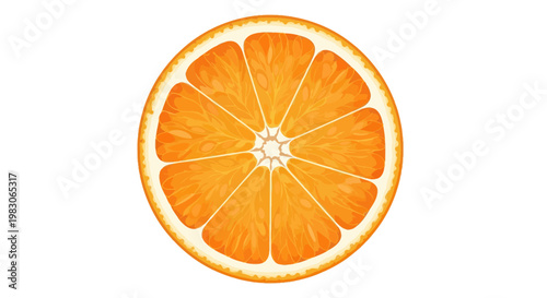 Fresh juicy orange slice cross section isolated on white background