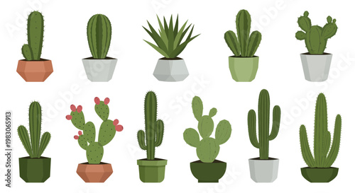 Collection of Potted Cacti and Succulents in Geometric Pots, Vector Art