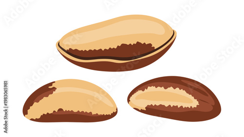 Three organic Brazil nuts shown from different angles highlighting their unique texture and brown skin against a clean white background space.