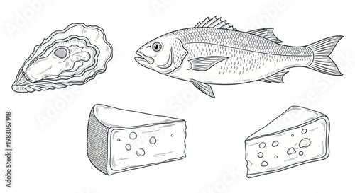 Hand drawn collection of food illustrations including fish, oyster, and cheese wedges.