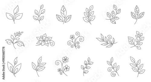 Fotografía Minimalist botanical line art collection: leaves, branches, flowers, swirls