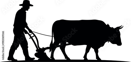 Farmer plowing field with oxen using traditional wooden plow