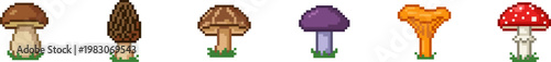 Pixel art vector set of diverse forest mushroom species.