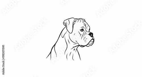 A stylized line drawing of a boxer dog's head in profile, looking to the right