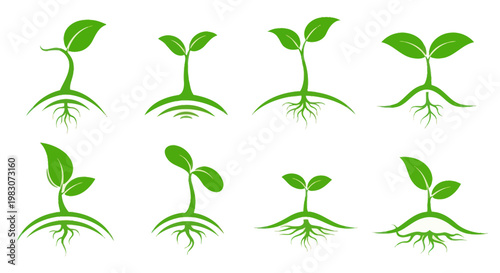 Green Sprout Icons: Growth, New Life, and Nature Symbolism