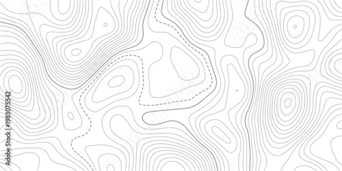 Topographic map patterns, topography line map.Topo contour map. Rendering abstract illustration.
