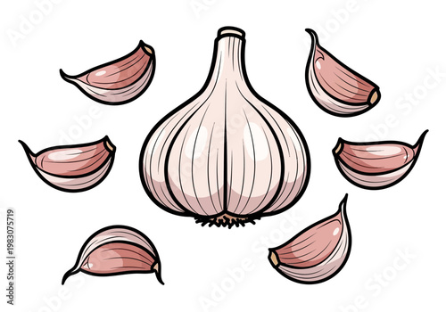 An illustration of a whole garlic bulb surrounded by six cloves on a white background.
