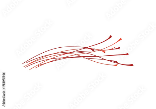 Red wires extend outward in various directions on a white background