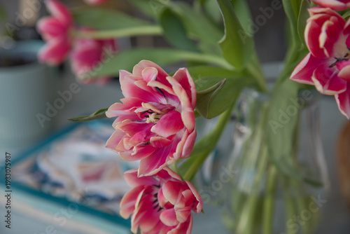 A beautiful, lush bouquet of tulips in an interior