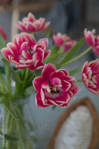 A beautiful, lush bouquet of tulips in an interior