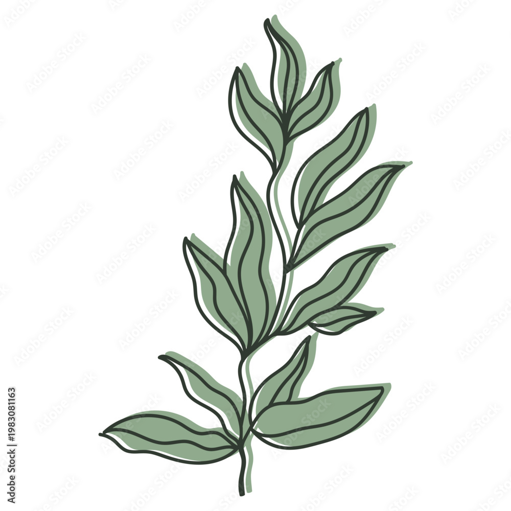 Fototapeta premium Herb Leaf Icon 