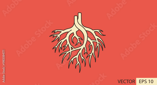 Minimalist tree root system vector illustration on red background