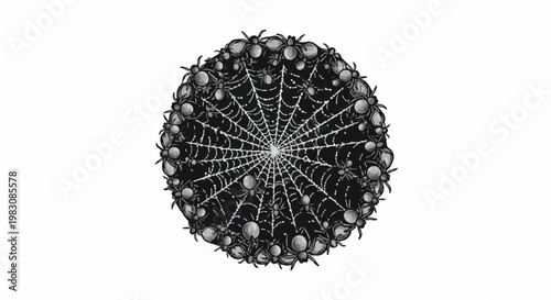Circular arrangement of numerous spiders on a black web