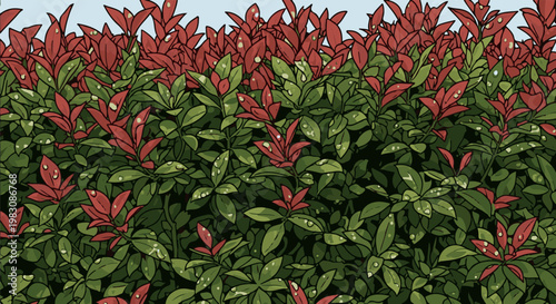 Dense foliage of red and green leaves with water droplets