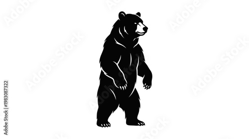 Black bear standing on hind legs vector illustration isolated on white background