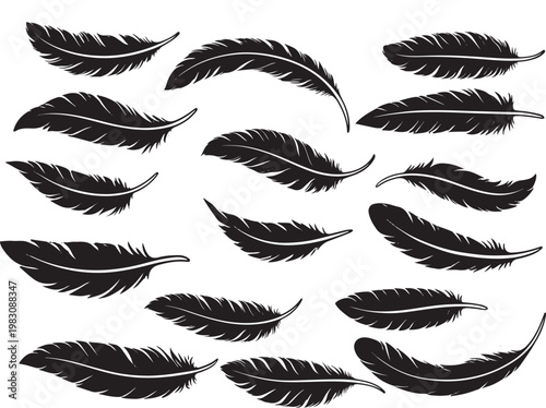 Tableau sur toile Detailed Majestic Feather Collection – Elegant High-Resolution Nature Vector Set
