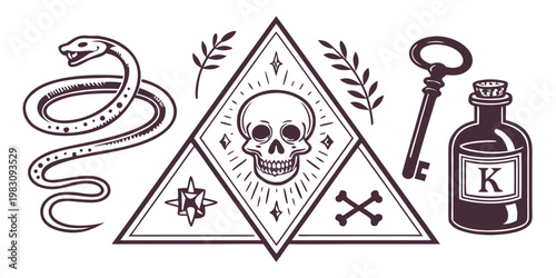 Mystical occult symbols with skull snake and vintage key, vector