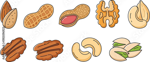 Nut Varieties Set including Almond Peanut Walnut Cashew and Pistachio