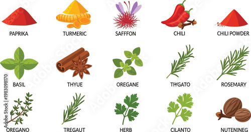 Culinary Herbs and Spices Set with Labels for Cooking