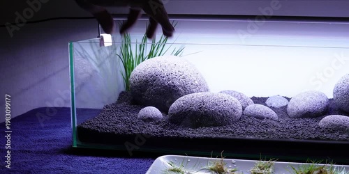 Aquascape Aquascaping Fish tank
