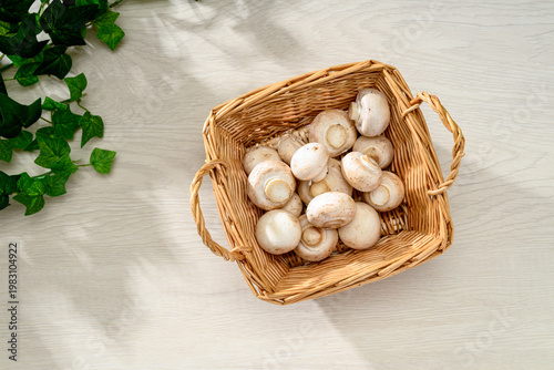 新鮮なホワイトマッシュルームの食材イメージ