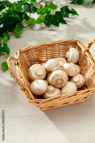 新鮮なホワイトマッシュルームの食材イメージ