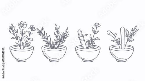 Line drawing of four bowls with plants, dropper, and mortar. The image is on a white background