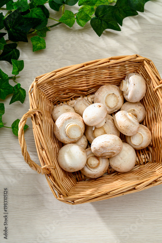 新鮮なホワイトマッシュルームの食材イメージ