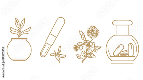 Four simple gold-colored line illustrations of plants, a dropper, and pills, all on a white background