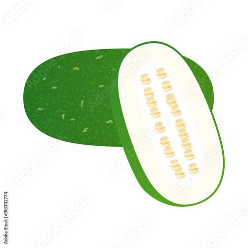 冬瓜のアイコンイラスト