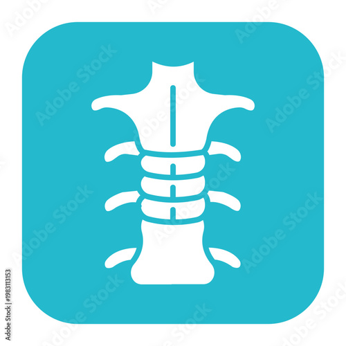 Spinal Cord Icon