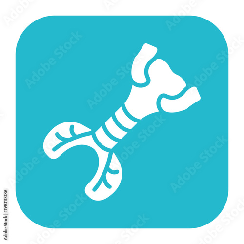 Trachea Icon