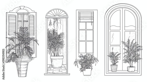 Line drawing of four windows with various arched, rectangular shapes, each with potted plants
