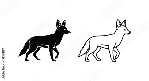 Wild Canine Comparison: Fox vs Coyote Illustration Vector
