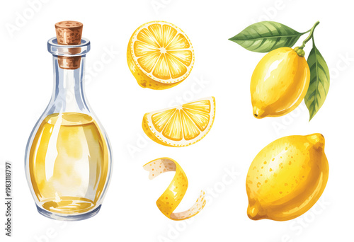 Natural lemon and citrus oil elements with slice leaf and glass bottle watercolor illustration. 