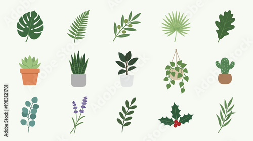 Collection of various green leafy plants.