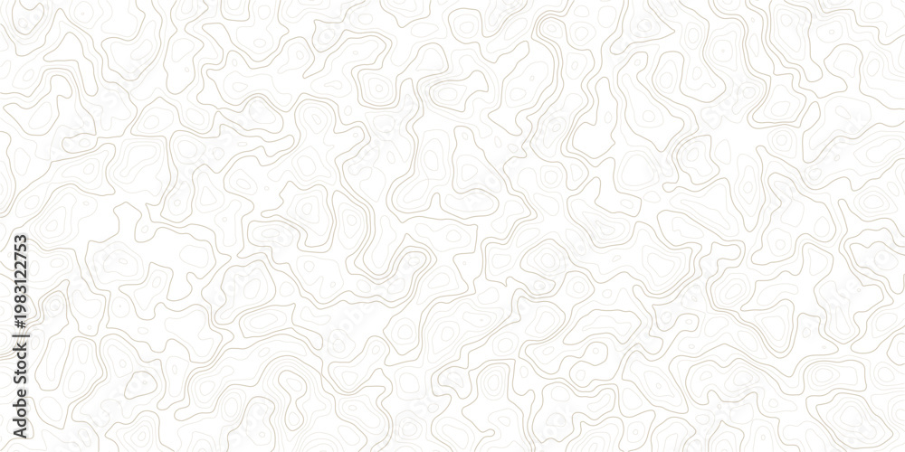 Fototapeta premium Brown topographic map lines on white background for design and texture