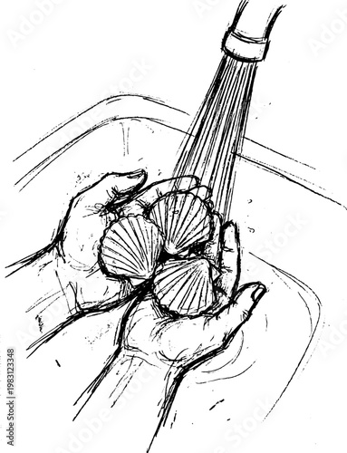 A chef washing scallops in a colander under running water, emphasizing the importance of thorough cleaning for fresh and safe seafood preparation