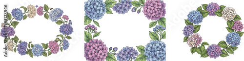Hydrangea flower frame collection. Hand drawn, vector illustration white background
