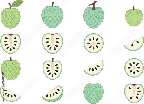 Green Custard Apple Vector Set with Whole Fruits, Slices, and Cross Sections in Minimal Flat Style for Healthy Food Illustrations and Design Projects