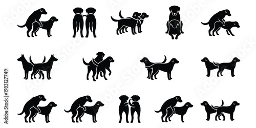 Black dog mating silhouettes set, 14 vector icons of dogs breeding and reproducing, canine animal behavior and pet reproduction graphics