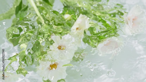 White flowers with green stems in bubbly water