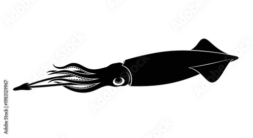 Black Squid Silhouette on White Background