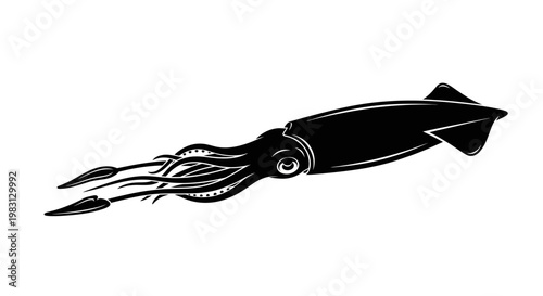 Black Squid Silhouette Isolated on White Background