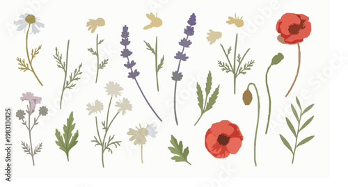 Wild flowers botanical vector set with watercolor floral elements for bouquet design isolated on white