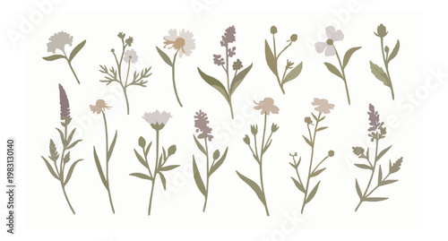Vintage botanical wildflower vector set with watercolor floral stems and leaves for elegant bouquet design isolated on white