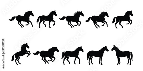 Black horse silhouette collection, 10 vector horse icons in various poses, galloping and jumping stallion silhouettes, equestrian animal graphics
