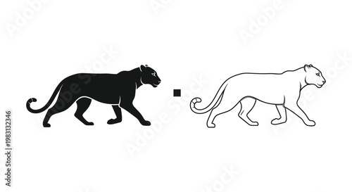 Black Panther vs Leopard: Unique Big Cat Comparison Vector