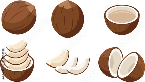 Coconut Illustration Set with Whole, Half, Sliced, and Bowl Arrangements for Tropical Food Design, Organic Ingredients, and Healthy Lifestyle Concepts